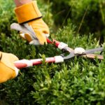 Spring Cleanup Checklist: Preparing Your Coldstream Yard for the Season