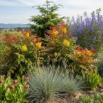 Spring Garden Care Vernon: Essential Landscaping Tips for Your Vernon BC Property